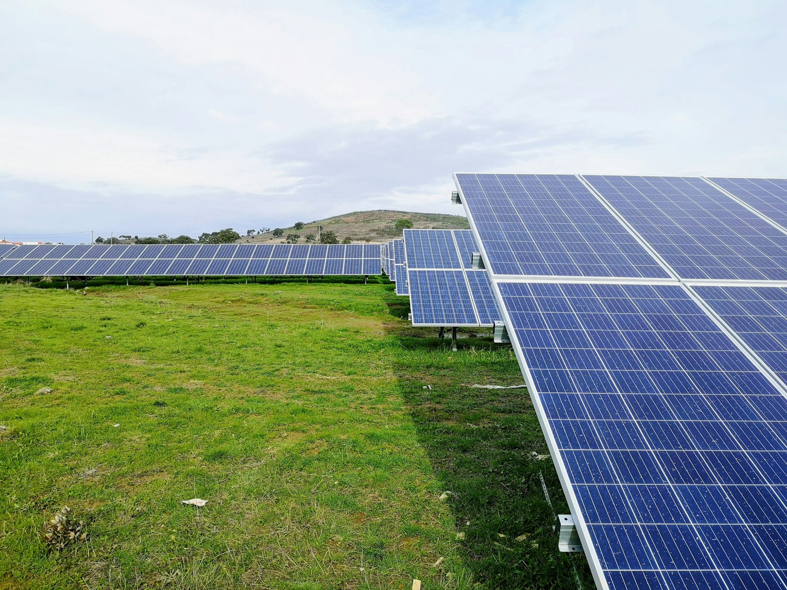 Solar panels representing clean, sustainable energy
